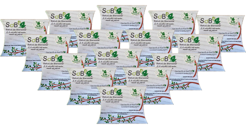 semilla de brasil 15 unidades